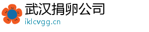 武汉捐卵公司	